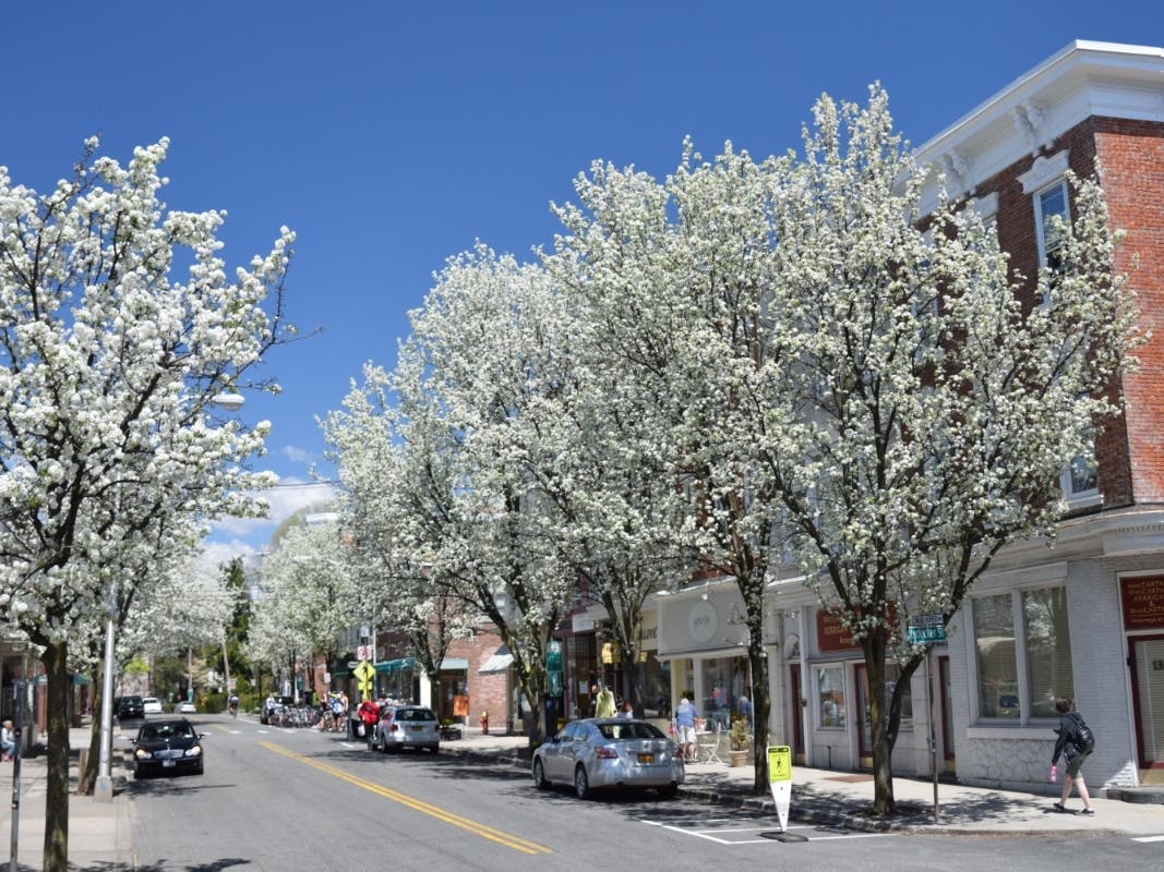 Nyack's a beautiful place to stroll in springtime.