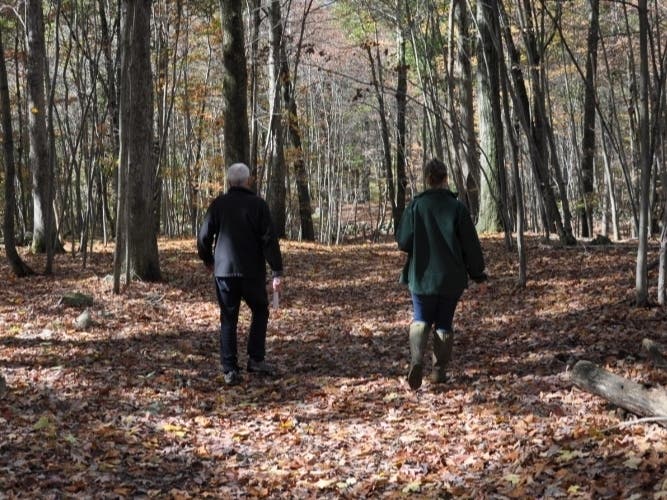 The newly acquired property, adjacent to protected lands of the Appalachian Trail and less than half a mile away from Fahnestock State Park, will provide additional opportunities for outdoor enthusiasts, OSI officials said.