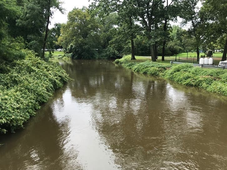 The Mamaroneck River rose alarmingly during Tropical Storm Henri.