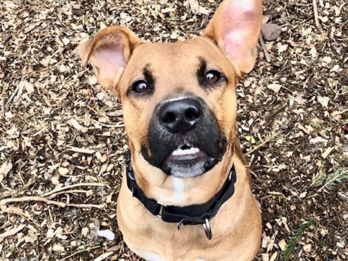 Thor would be so happy to have you as his family.