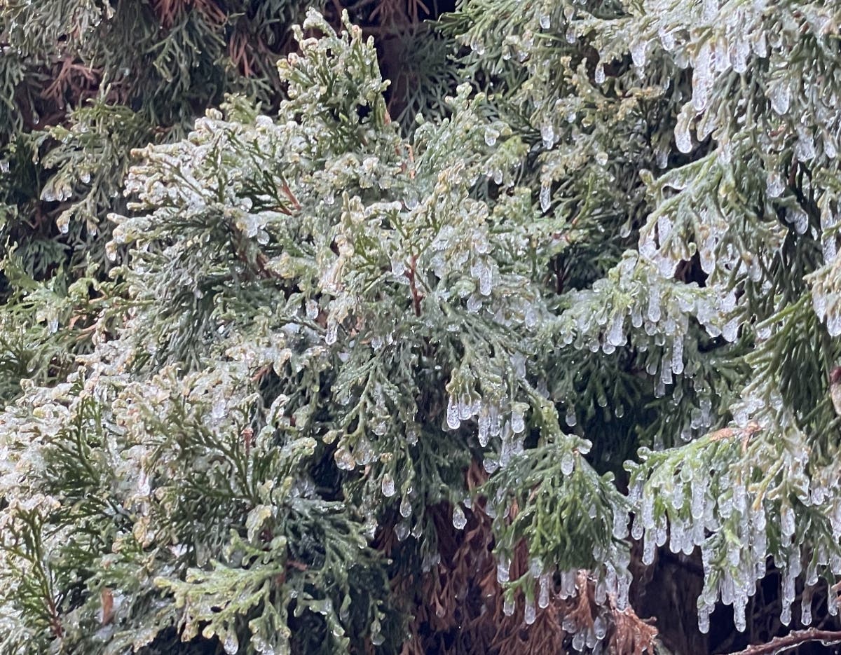 Look closely to get a feel for just how much ice encased the mid-Hudson on Friday; it will have time to melt before the next wave of Arctic air and, possibly, snow.