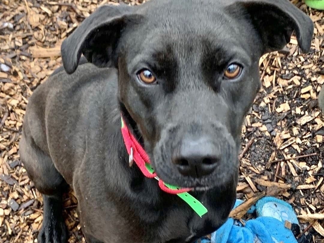 Meet Lucy.