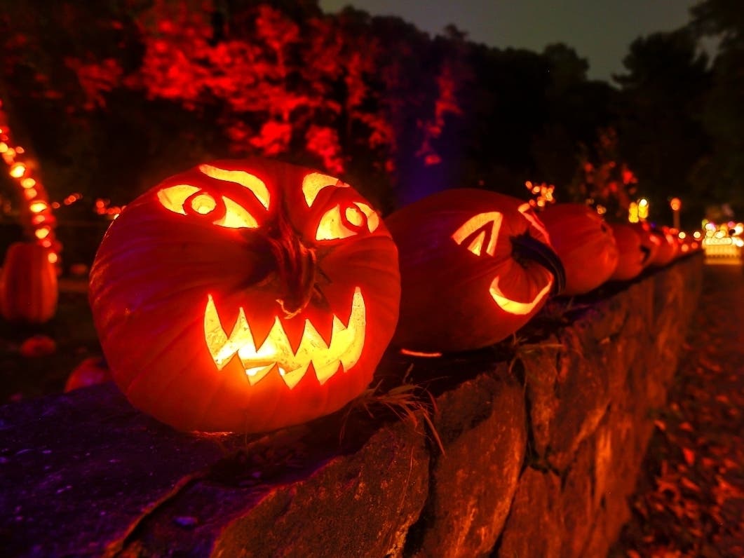 The Great Jack O'Lantern Blaze
