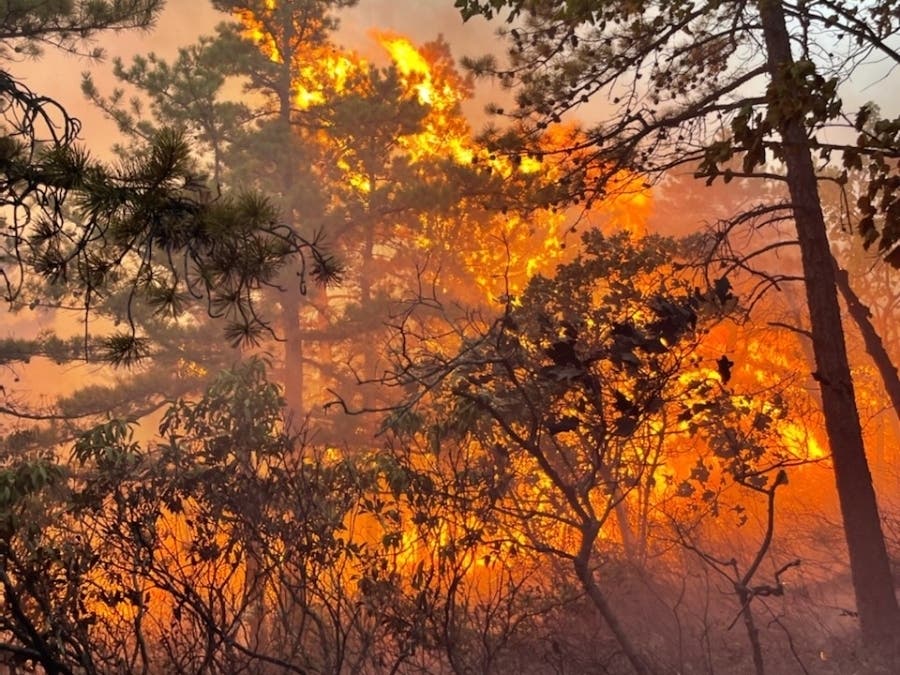 The Napanoch Point Fire Aug. 30, 2022