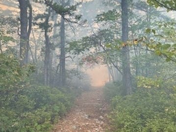 A path at Minnewaska State Park Preserve led to a wildfire.