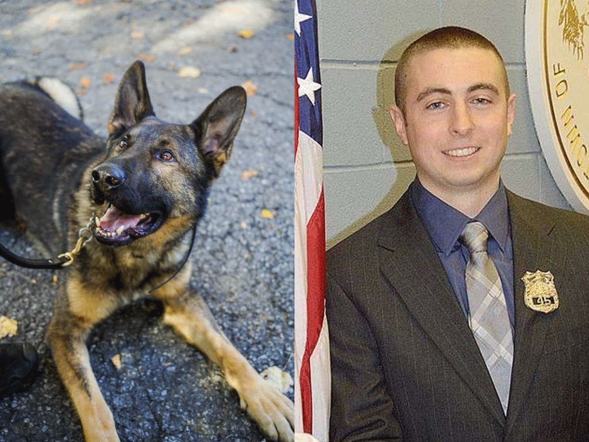 Carmel's new K-9 is named after an officer who died in an off-duty crash in 2018.