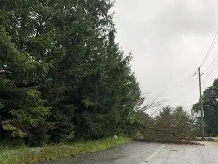 Power Outages Cropping Up In High Winds: Orange & Rockland Utilities ...