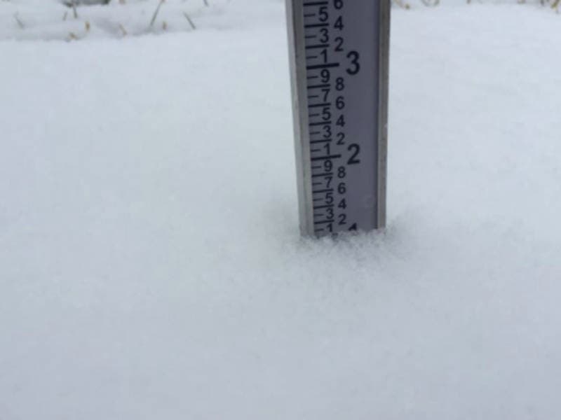 50 Snowfall Totals Across Northern Virginia News Insidenova Com