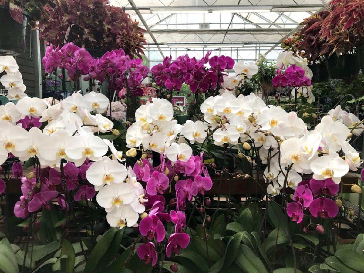 Winter will exit quickly and make way for spring say forecasters for Maryland.