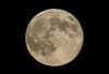 Tonight S Super Worm Moon Marks Start Of Spring In Georgia
