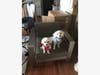 Piper is on the left, 17 months, Maltese Finn is on the right, 14 months, Maltipoo. They're brother and sister.