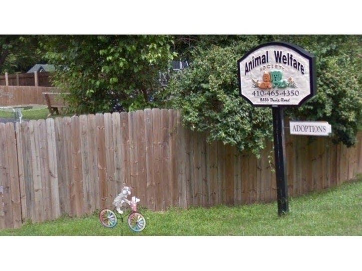 Two board members of the Animal Welfare Society of Howard County on Davis Road have been charged with animal cruelty.