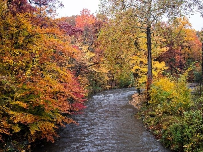 Maryland's fall foliage colors will be delayed in 2019 because of above average temperatures in September, the Weather Channel says.
