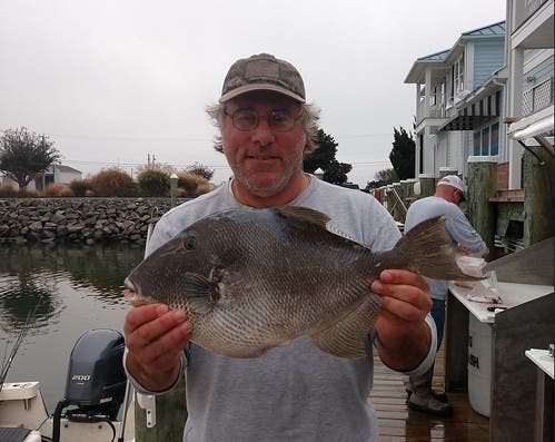 Ocean City resident Mike Glyphis set a Maryland state record for gray triggerfish.