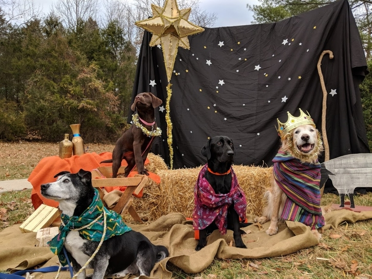 Vienna's Church of the Good Shepherd will host its Puppy Nativity for a fourth year this weekend.