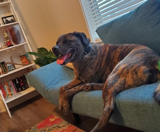 After six months of evading rescuers, Dwight is back home with his family.