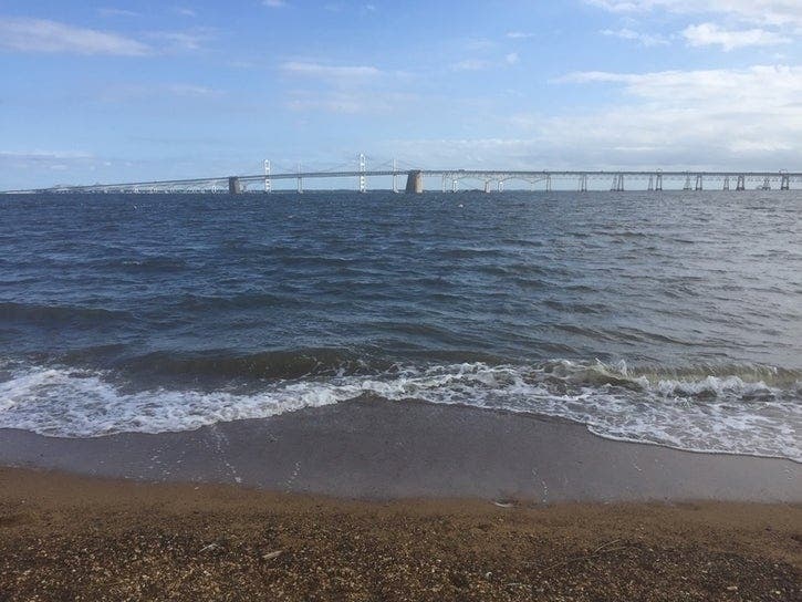 Anne Arundel County Executive Steuart Pittman said the county is considering suing the U.S. Environmental Protection Agency for what he called a failure to enforce the Clean Water Act and protect the Chesapeake Bay.