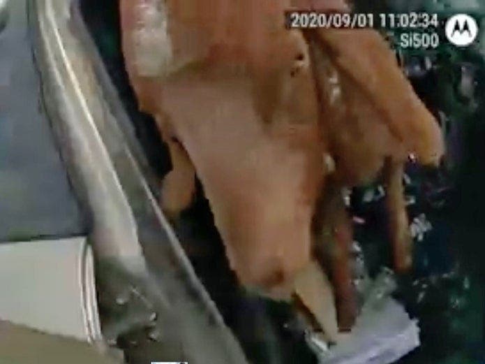 News small post card thumbnail