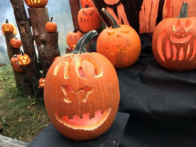 Looking for pumpkin patches in your area? We've started a list.