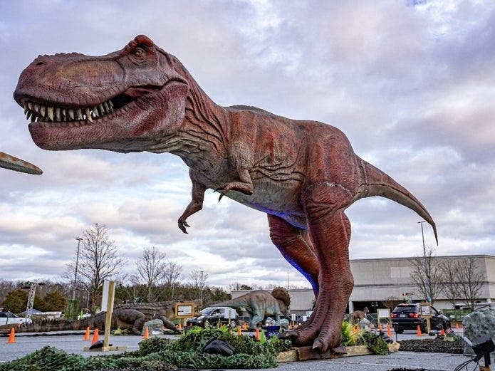 The National Harbor will open an animatronic dinosaur display called "Dino Safari" on Thursday. Imagine Exhibitions designed the educational experience. 