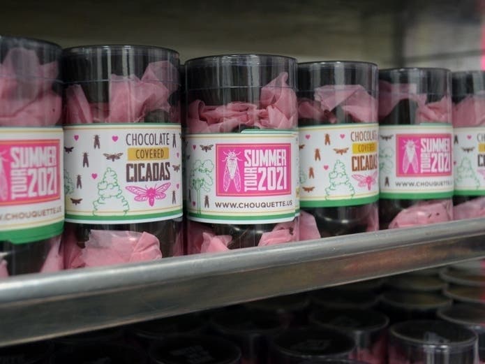 Chouquette Chocolates usually experiences a slowdown in business after Mother's Day. This year, business is booming since they started selling chocolate-covered cicadas out of the Gaithersburg kitchen.