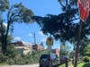 A tree snapped and blocked a road in Violetville in southwest Baltimore during the storm Monday night. A tree also toppled onto Potee Street near Brooklyn.