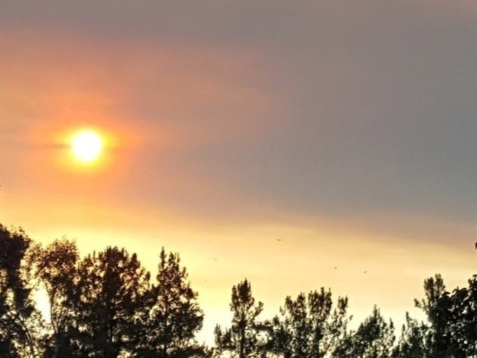 An air quality alert was issued for parts of northern Virginia and Washington, D.C., for Wednesday, Aug. 25. People with asthma and other health conditions are urged to stay indoors.