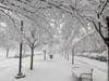 Share your photos of the Jan. 3 winter storm for Patch's gallery of Montgomery County's snow day.