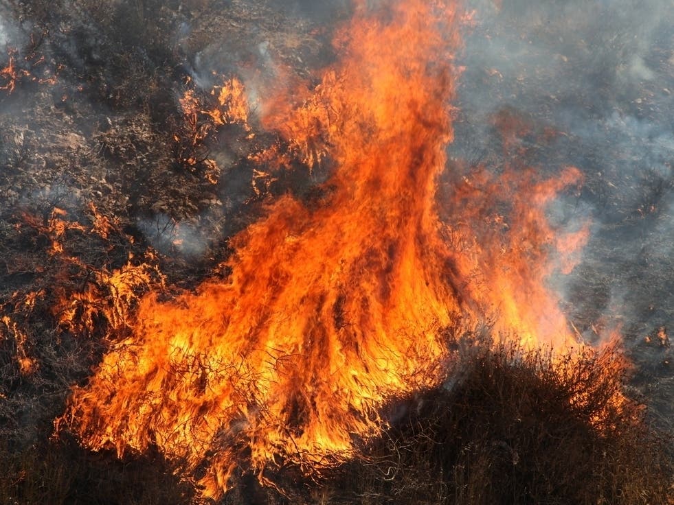 Spring wildfire season has begun in Maryland, and the DNR asks residents to help prevent wildfires as parts of the state are drier than normal.