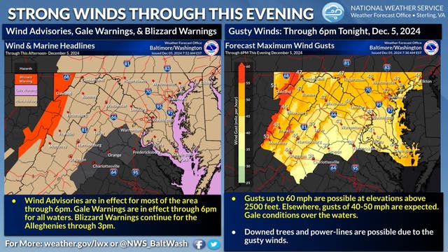 Damaging Winds In MD: 55 MPH Gusts Possible | Perry Hall, MD Patch