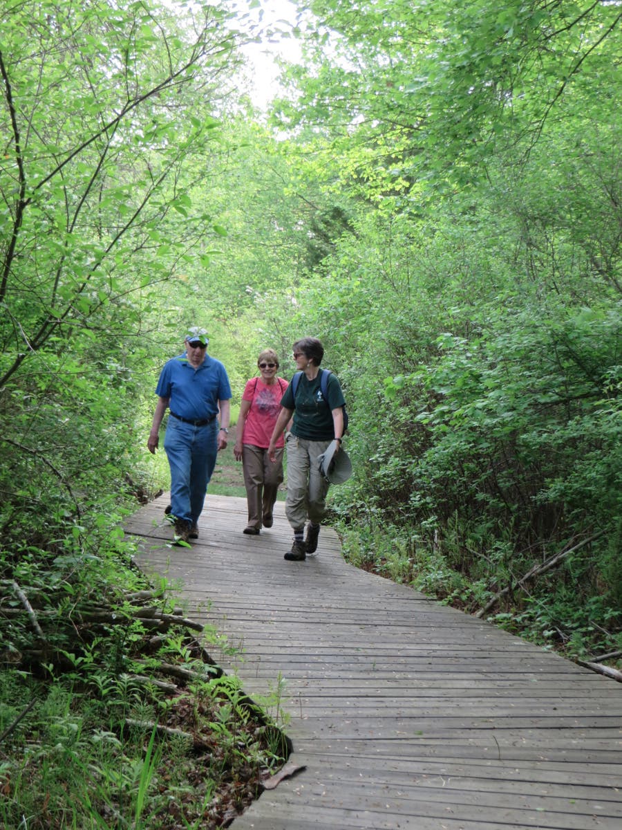 Forest Fitness walks in the woods