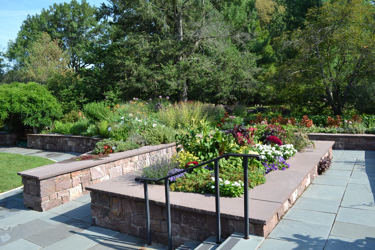 Aug 3 | Learn the Benefits & Use of Herbs at Colonial Park Gardens