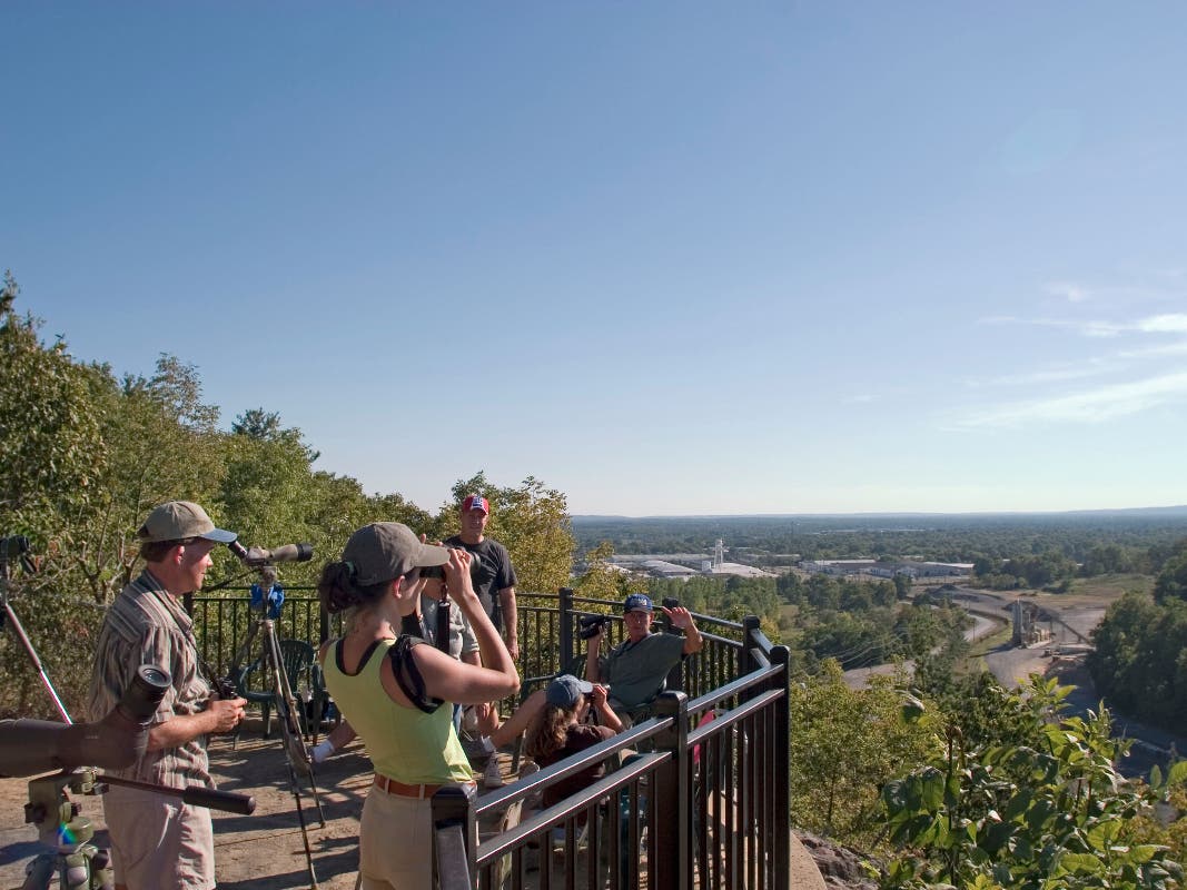 Hawk Watch off Miller Lane in Bridgewater