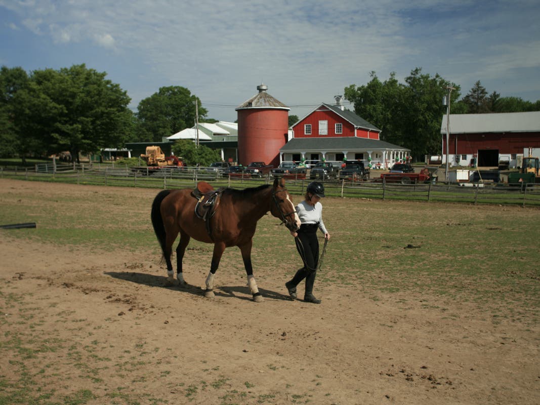 Lord Stirling Stable in Basking Ridge, NJ