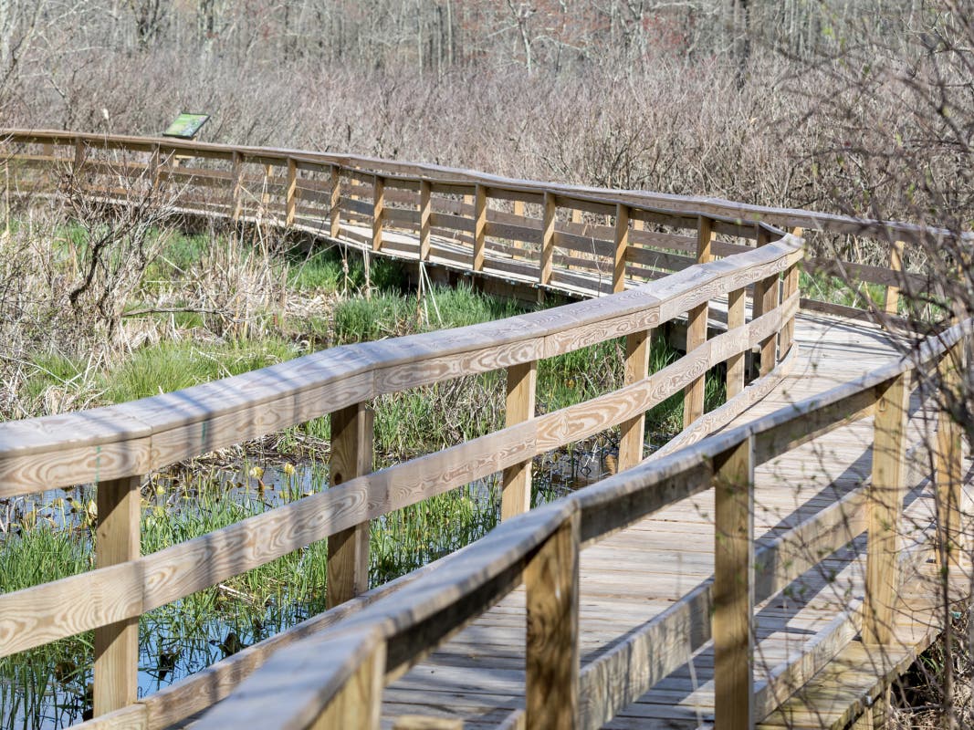 The Boondocks Boardwalk at the EEC