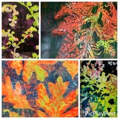 Crafting for Adults: Gel Printing with Joy Lara at Westfield Library 6.10.26