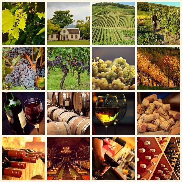 American Wines