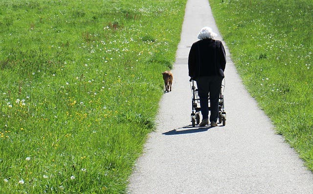 Fall Prevention: Stay Strong, Steady and Safe
