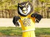 Scrappy the Owl, Kennesaw State University's mascot, cheers on runners during the Noonday Creek 5K/10K on March 26.