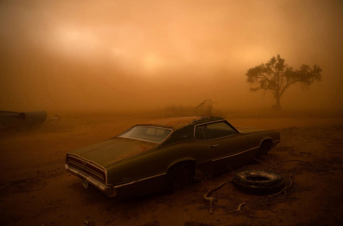 THUNDERBIRD IN THE DUST 