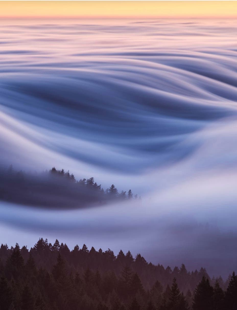 COTTON CANDY, FOG WAVES 