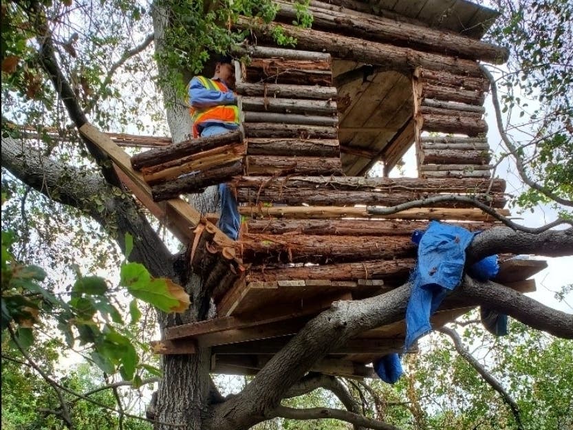 https://patch.com/img/cdn20/users/73734/20190524/072253/styles/patch_image/public/treehouse-1-20190524191911-31168500-20190524191954-56340500.jpg