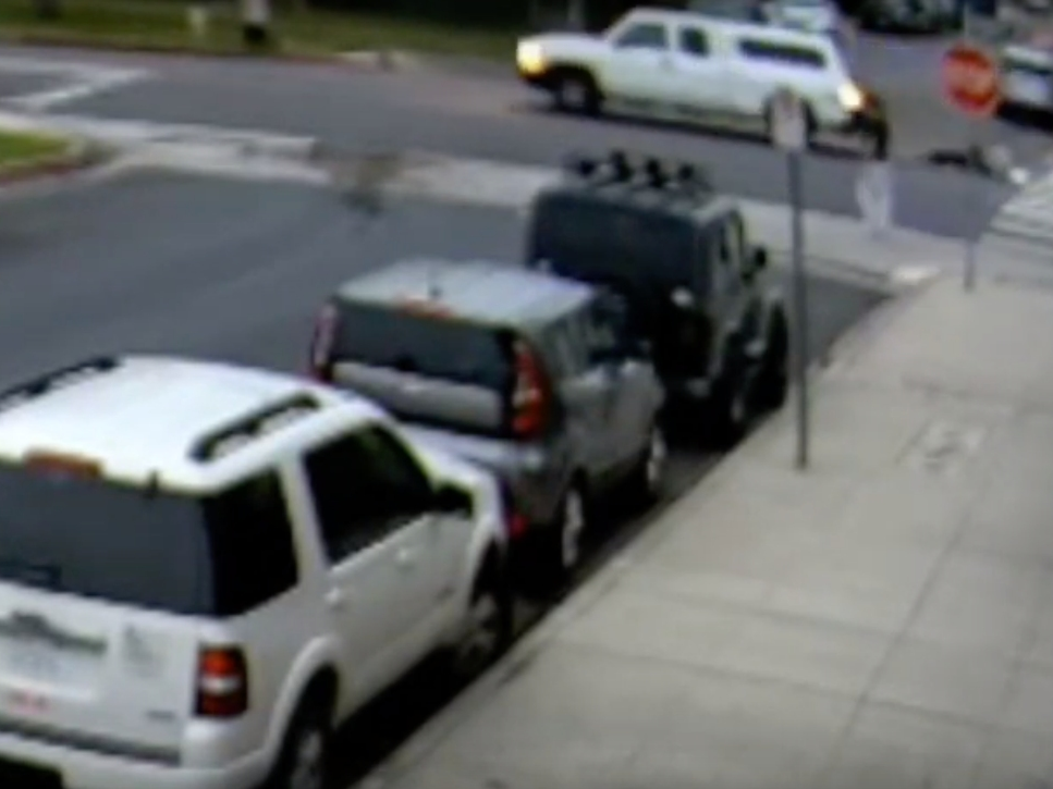 Police released video of a fatal hit and run that killed a 91-year-old Holocaust survivor in the San Fernando Valley.