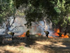 Firefighters battle the massive Lake Fire in the Angeles National Forest.