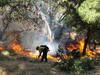 Firefighters battle the massive Lake Fire in the Angeles National Forest.