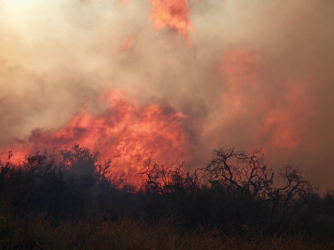 Firefighters are battling a brush fire that broke out in Malibu Creek State Park Sunday afternoon.