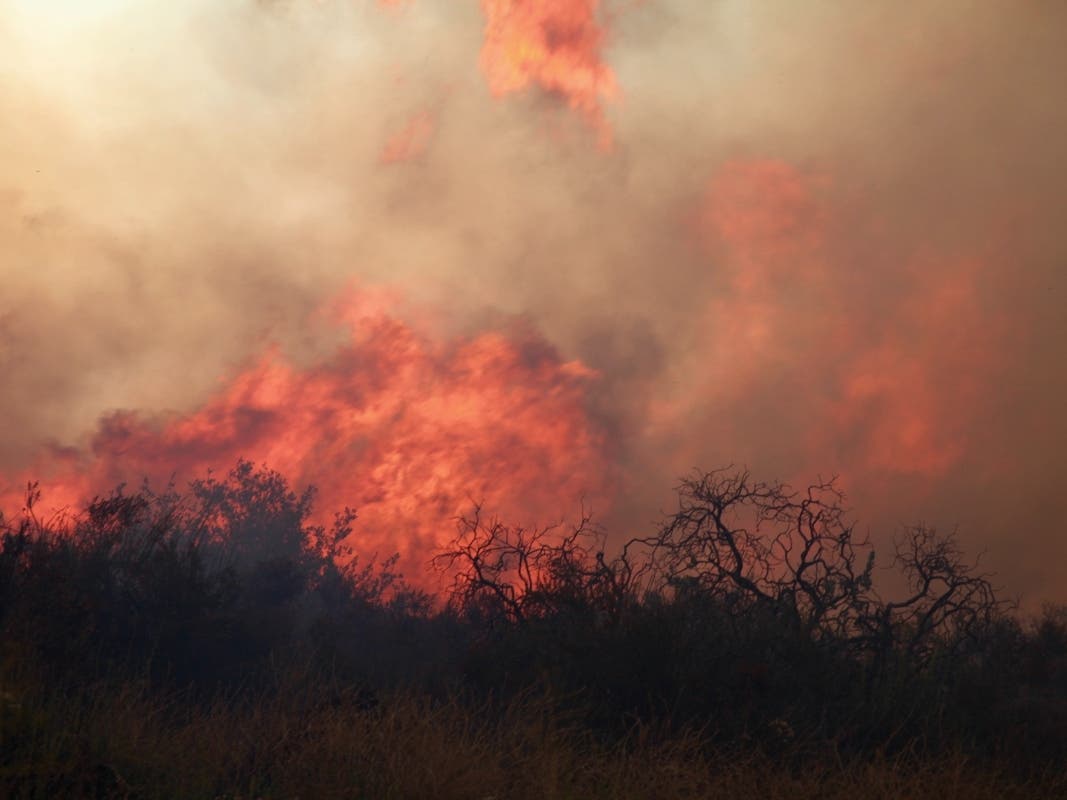 Firefighters doused a small wildfire in the Santa Monica Mountains  before it could spread beyond a quarter-acre