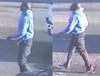 Security image of the suspect