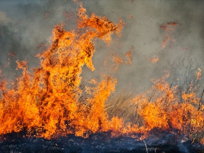Brush Fire Breaks Out Near Homes In Burbank Area - Vimarsana News