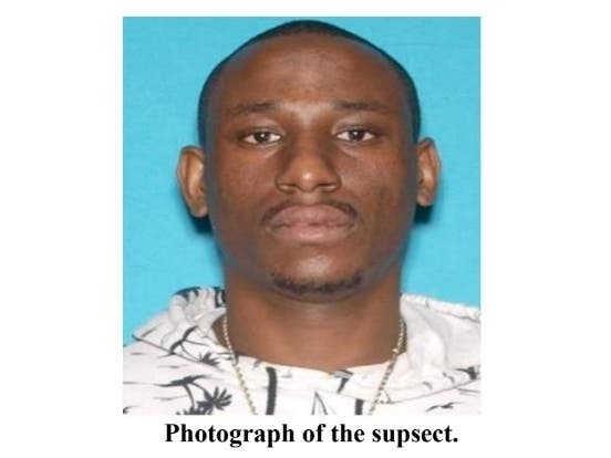 According to the Los Angeles Police Department, 32-year-old David Sumlin held a pillow over his victim's four-month-old puppy and pointed a gun at it, saying "It's either you or the dog." 